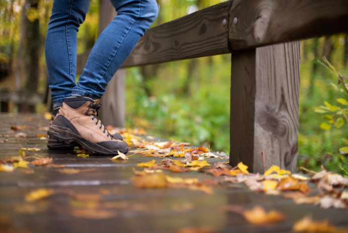 Simple Fall Challenge