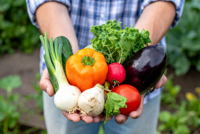 The Benefits of Growing Your Own Food