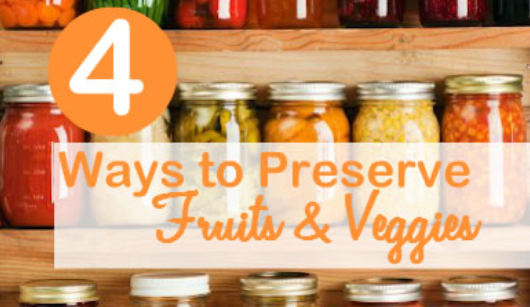 Simple Ways to Preserve Fruits and Vegetables