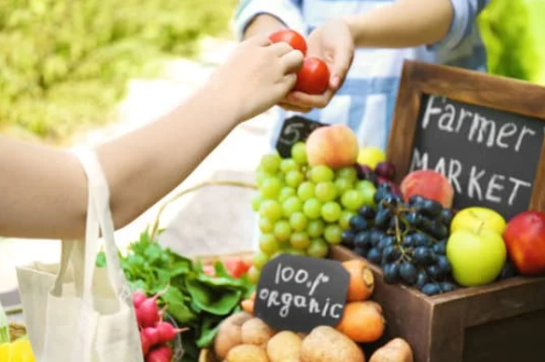 A Beginner's Guide to the Farmers Market