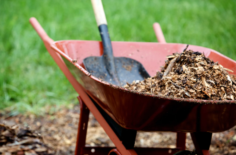 Sneak It In and Tone It Up