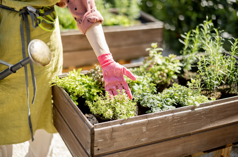 How to Grow Your Own Herbs for Cooking